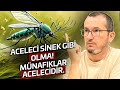 Aceleci sinek gibi olma! Münafıklar acelecidir. / Kerem Önder