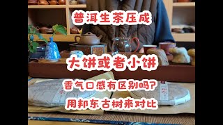 普洱生茶压成大饼或者小饼香气口感会有区别吗？用邦东古树来对比看看。