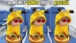 Cat Memes: FAMILY TRIP TO ALGERIA