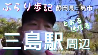 【三島駅周辺】ぶらり歩記（静岡県三島市）　楽寿園、白滝公園、三嶋大社★とおる通信局