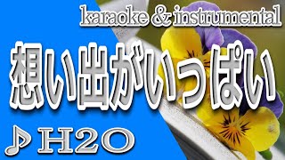 想い出がいっぱい/H2O/カラオケ＆instrumental/歌詞/OMOIDEgaIPPAI/H2O