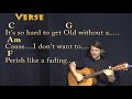 Forever Young (Alphaville) Fingerstyle Guitar Cover Lesson in C with Chords/Lyrics