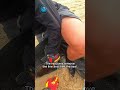 seal rescued from fishing line shorts