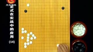 围棋定式在实战中的应用14