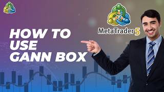 How to Use Gann Box on MetaTrader 5 | Quick and Easy Guide 2026