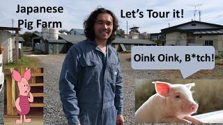 Japanese Pig Farm Tour