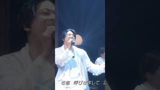 【NEWS 増田貴久】の歌の力 山下達郎~FOREVER MINE~