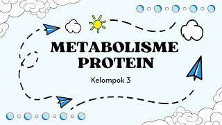 Metabolisme Protein : Tugas Evaluasi Biologis Komponen Pangan