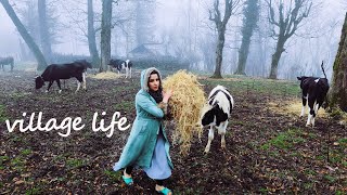 IRAN nomadic life | daily routine village life of Iran | Nomadic lifestyle of Iran