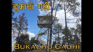 Bukacho Gadhi @ App Vlogz 7th Nov 2021