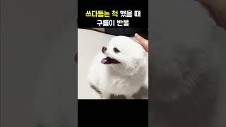 쓰다듬는 척 했을 때 구름이 반응