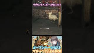 セクレトベビーがかわいい！【モンスターハンターワイルズオープンベータテスト】【MHWs / モンスターハンターワイルズ】【mobi / #もびもび 】 #shorts #CCJP