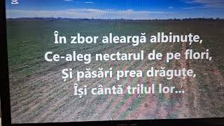 E iarăși primăvară, KARAOKE+VOCE, nr. 472, \