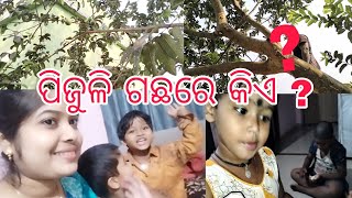 ଆମ ପିଜୁଳି ଗଛରେ ଇଏ କିଏ ? ଦେଖନ୍ତୁ ଆନି ଆଉ ପ୍ରିୟା କ'ଣ କହୁଛନ୍ତି 🤔🤦🙆