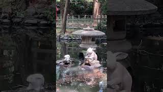 調神社のうさぎさん/埼玉県/浦和