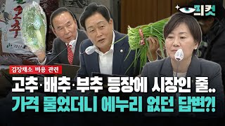 [현장영상] 고추·배추·부추 등장에 시장인 줄... 가격 물었더니 에누리 없던 답변?!