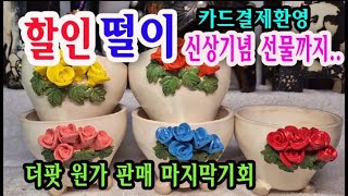 #신비화분(#신비의다육정원)- 할인과 떨이 신상기념 선물까지 ... 오늘은 더팟 떨이 마지막 날이네요