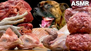 【大食い犬ASMR】骨付き肉と生肉のルーティン7選総集編6 　Dog eats raw meat ＆ bones