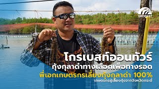 กุ้งกุลาดำ - พี่เอกผู้เลี้ยงกุ้งกุลาดำ 100% และประสบความสำเร็จ - โกรเบสท์ออนทัวร์ EP1