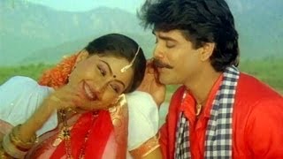 Janaki Ramudu Songs - Chilaka Pachha Thotalo - Nagarjuna - Vijaya Shanthi