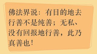 卢台长开示：有目的地去行善不是纯善；无私、没有回报地行善，此乃真善也！