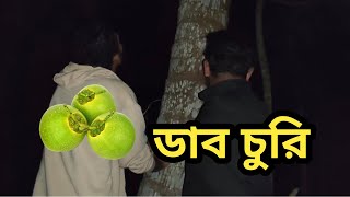 গাছের মালিকের কাছে ফোন দিয়ে ডাব চুরি