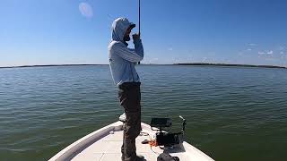 Catching a bunch of white bass!