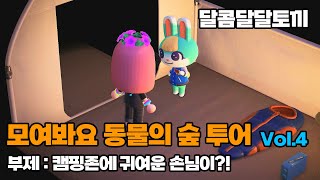 달콤달달토끼의 모여봐요 동물의섬 투어 Vol.4