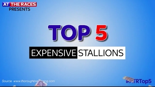 Top 5 Expensive Stallions in Horse Racing