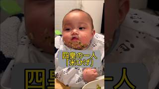 ルフィが敵わない相手「米ヒゲ」 #onepiece #ワンピース #baby #赤ちゃん #子育て