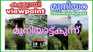 Chimmini Forest  / kallayi view point / മുനിയറ / muniyattukunnu / trissur hidden places