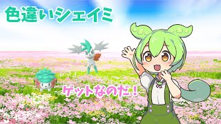 【ポケモンGO】シェイミ色違い　ゲットしたのだ【ずんだもん】