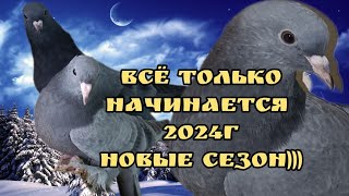 Всё Только Начинается,Турецкая-Такла-Голуби,Her Şey Yeni Başlıyor,Türkçe-Takla-Güvercinler,Pigeons!