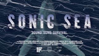 Sonic Sea   Trailer