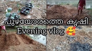 പുഴയോരത്തെ കൃഷി Evening vlog 🥰By HISHA'S VIBEZ