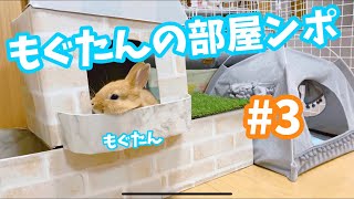 うさぎさんの部屋ンポ#3【もぐたん】