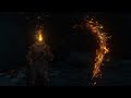 Frenzied Reaper - Moveset Demo - Elden Ring