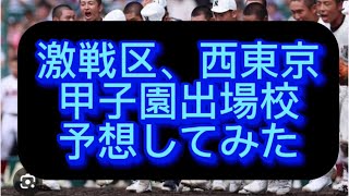 【高校野球】【西東京高校野球】西東京高校野球これ見れば全てわかります、西東京甲子園出場校予想してみた#野球 #高校野球 #甲子園