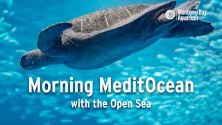 Morning MeditOcean — A Guided Meditation with the Open Sea