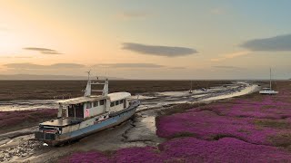 Should BOAT WORK Be This FUN? - Episode 161 #boatlife