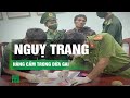 Bí mật bên trong 5 quả dứa gai người nước ngoài “ôm” qua biên giới Việt Lào | VTC14