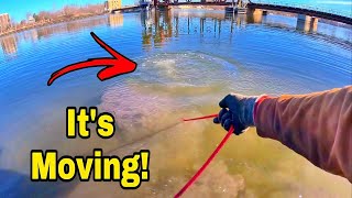The LARGEST Magnet Fishing Find EVER!!!