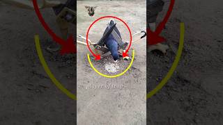 Pigeon trap | bird trap - #shorts #youtubeshorts #ytshorts