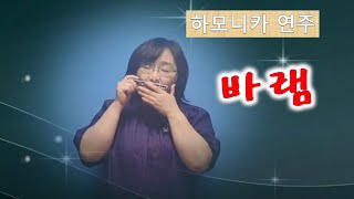 바램 하모니카연주(G) / 노사연  미스터트롯 임영웅 바램