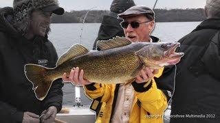 MONSTER 15.5 lb Walleye!