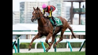 ジオグリフの勝利で父ドレフォンが2歳種牡馬ランキング首位に|Top News