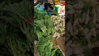 Fresh kale 🥬 Daikon 🥕 #khmermarket #vlogfood #battambang