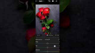 Rose 🌹 Lightroom photo editing best  tutorial and tone 😱 #short #youtube #shortvideo #rose