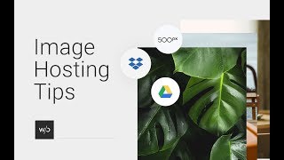 Image Hosting Tips | Tutorial by Without Code
