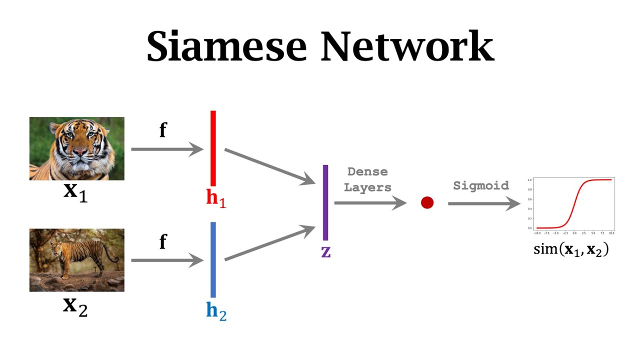 Few-Shot Learning (2/3): Siamese Networks - YouTube